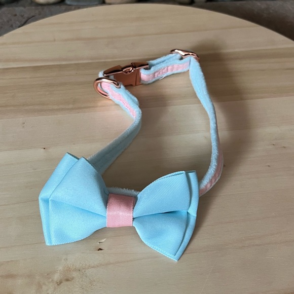 Petzc Dog Collar - Picture 1 of 5